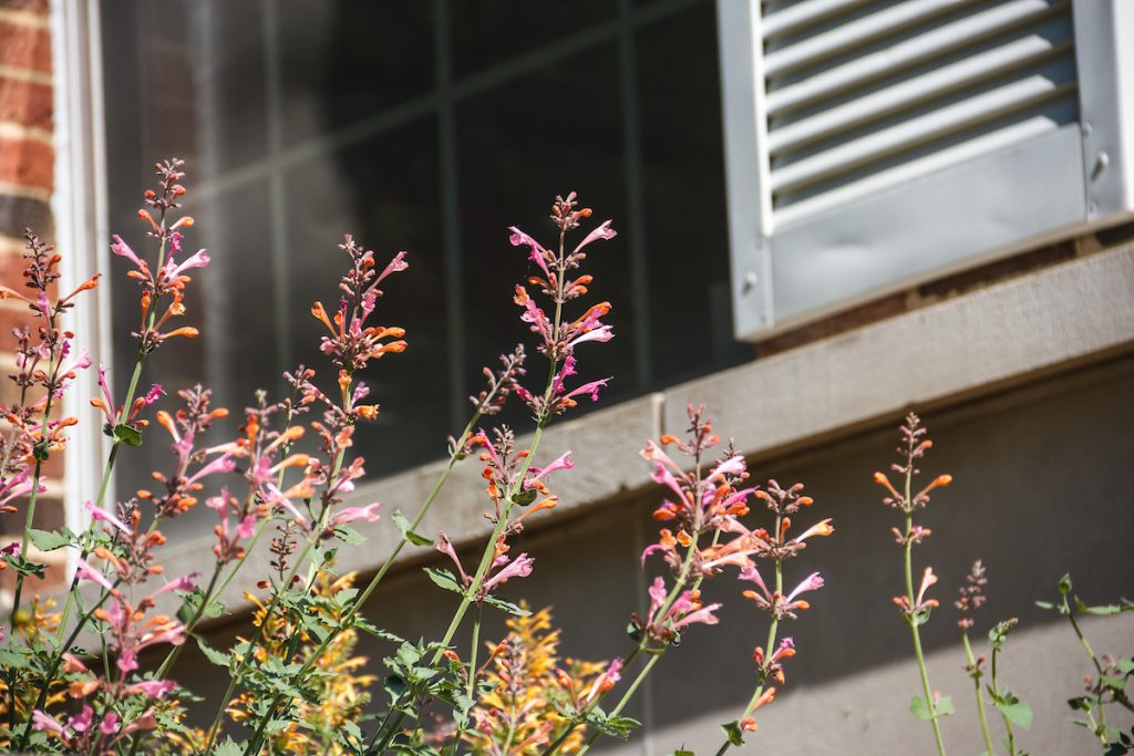 Resources Accessibility at K Kalamazoo College